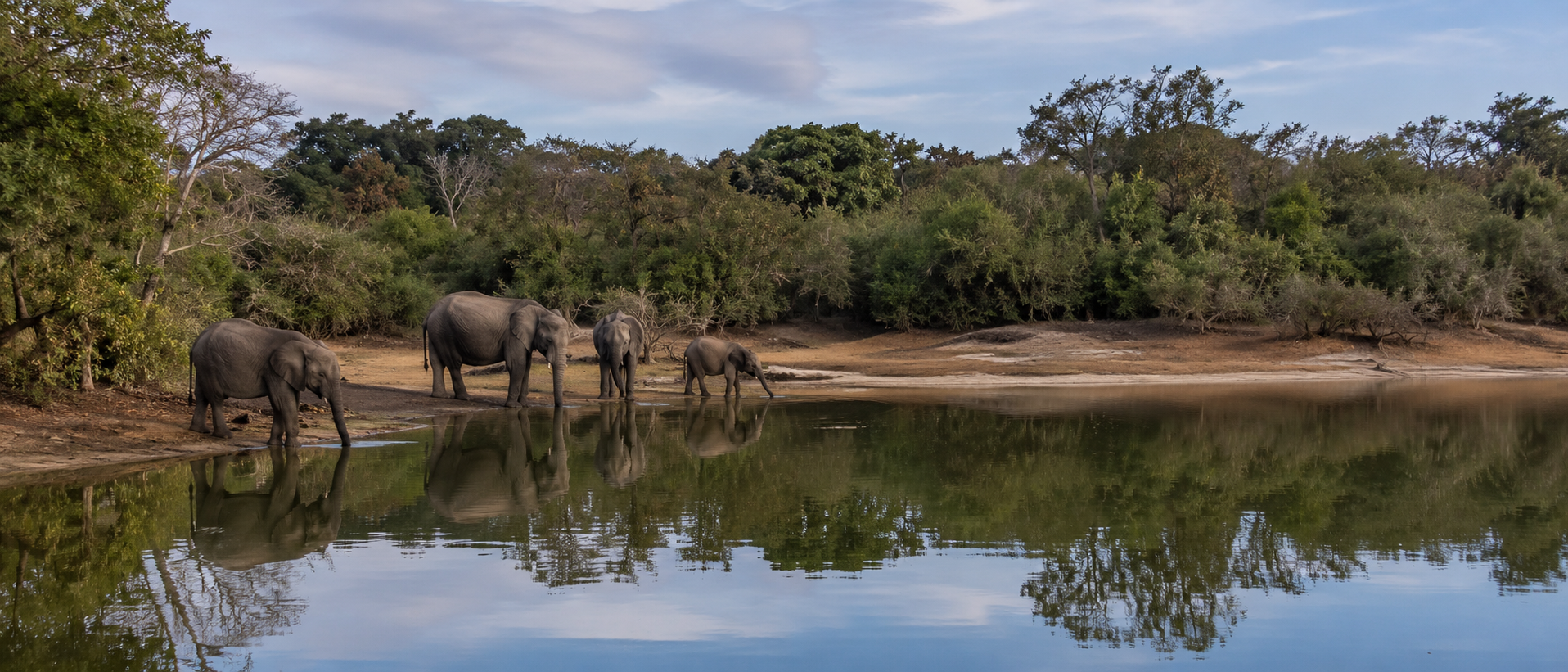 Wilpattu (Wilderness & Leopard Safaris)