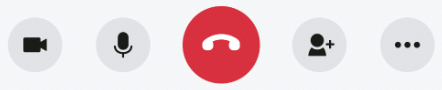 Video call controls